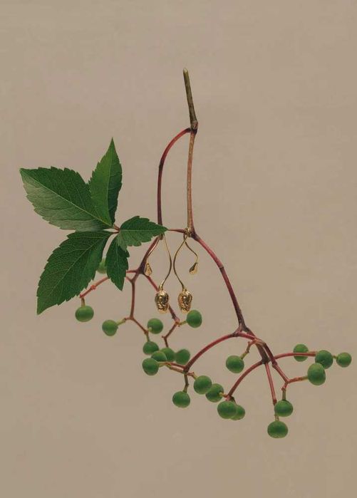 Okryk Twisted Earrings with Poppy Bud and Dew Drop
