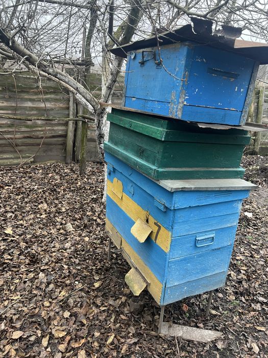 вулики без бджіл