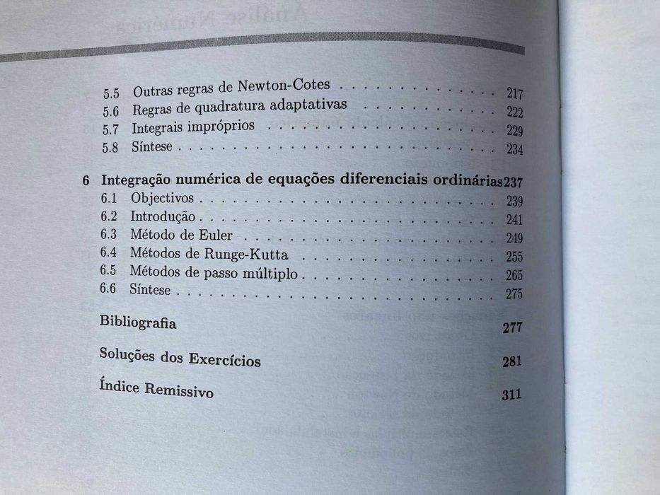 Análise Numérica, de Maria Raquel Valença