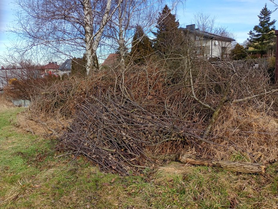 Gałęzie na zrębki - BIOMASA