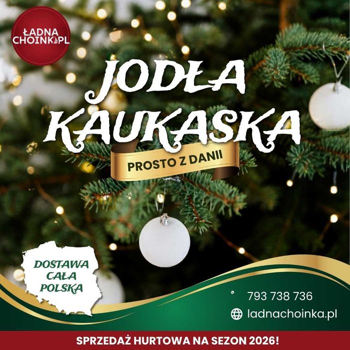 Choinki Jodła Kaukaska - Sezon 2026 dla firm i instytucji
