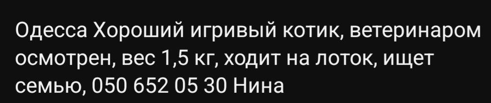 Отдам даром в добрые руки серо-белого котенка