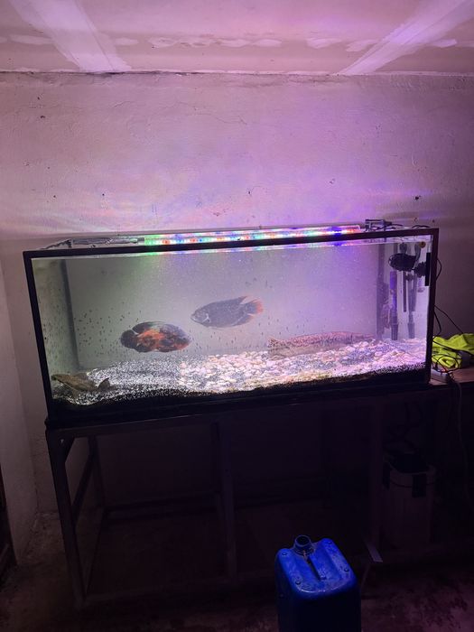 Aquario 150/65/60