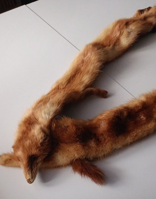 Kołnierz  do płaszcza