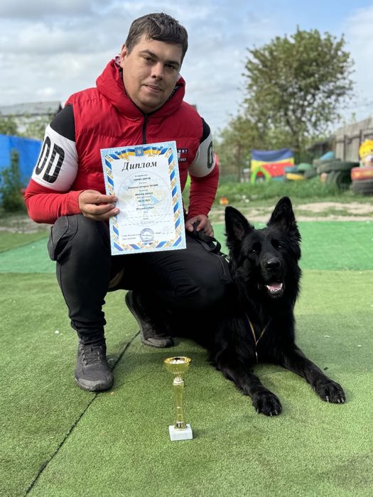 Кінолог. Дресирування собак. Кропивницький