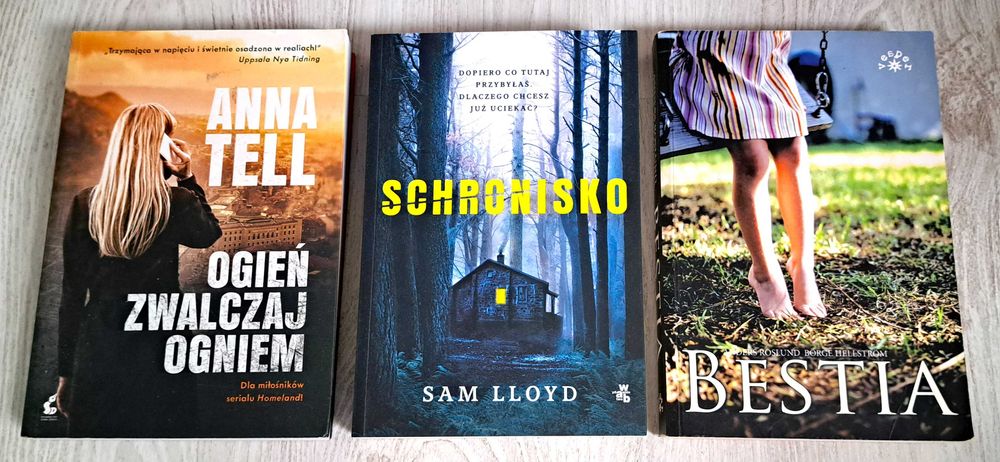 Sam Lloyd Schronisko  Roslund Bestia  Anna Tell Ogień zwalczaj ogniem