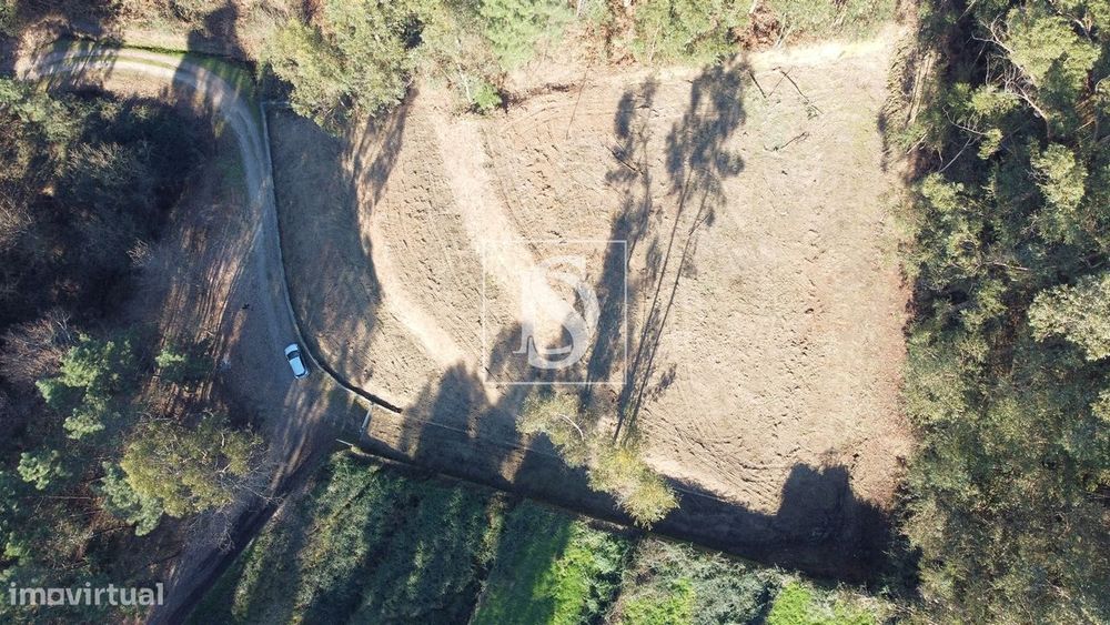 Terreno  Venda em Telões,Amarante