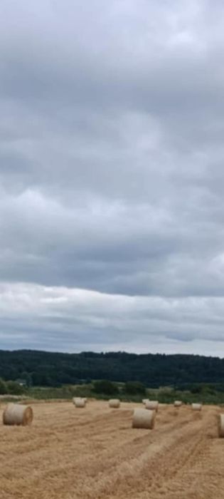 Słoma jęczmienia baloty 120/125