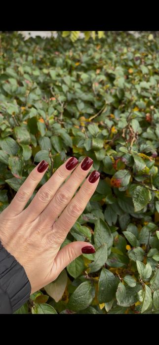 Манікюр Луцьк | Педикюр | Брови | 10 років досвіду