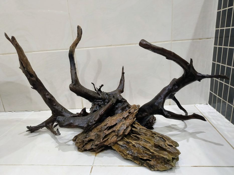 Korzeń i Kamienie.Gotowa aranżacja akwarium