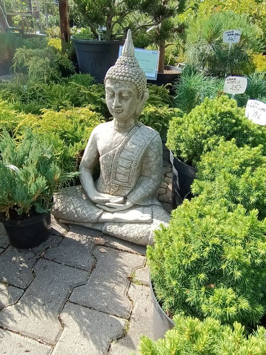 Figura antyczna z betonu Budda