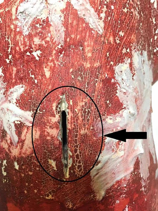 Редкий Антикварный Дед Мороз (49 см) — Гипсовая Копилка, 40-50 годов