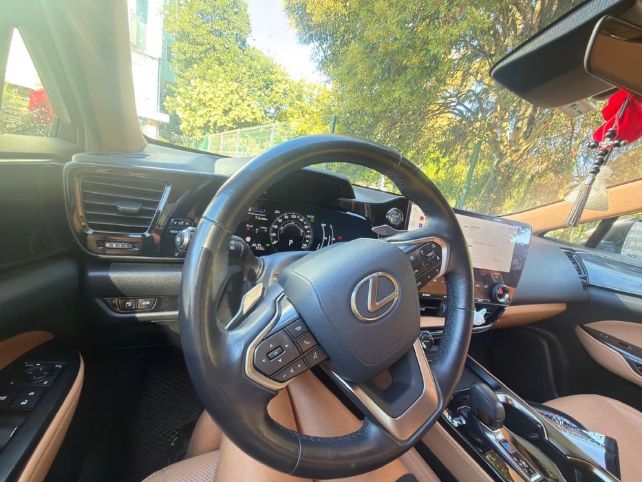 Lexus NX 450+ com garantia