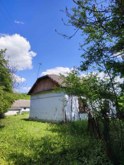 Будинок з земельною ділянкою