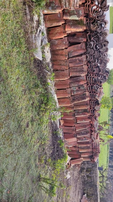 Telha industrial de Pataias n. 80