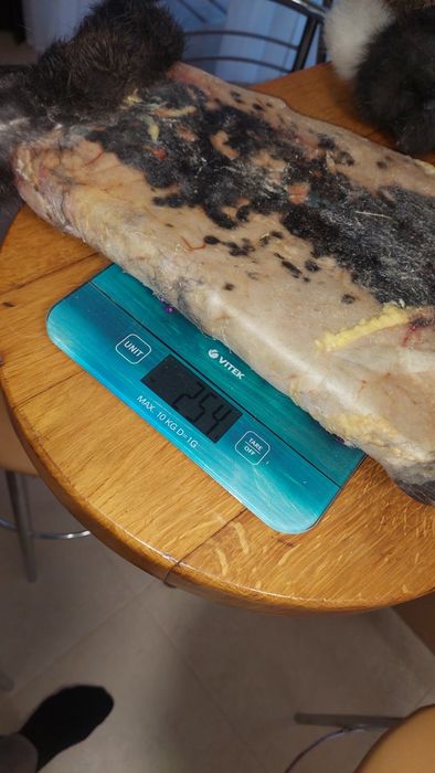 Продам шкуры кроликів.