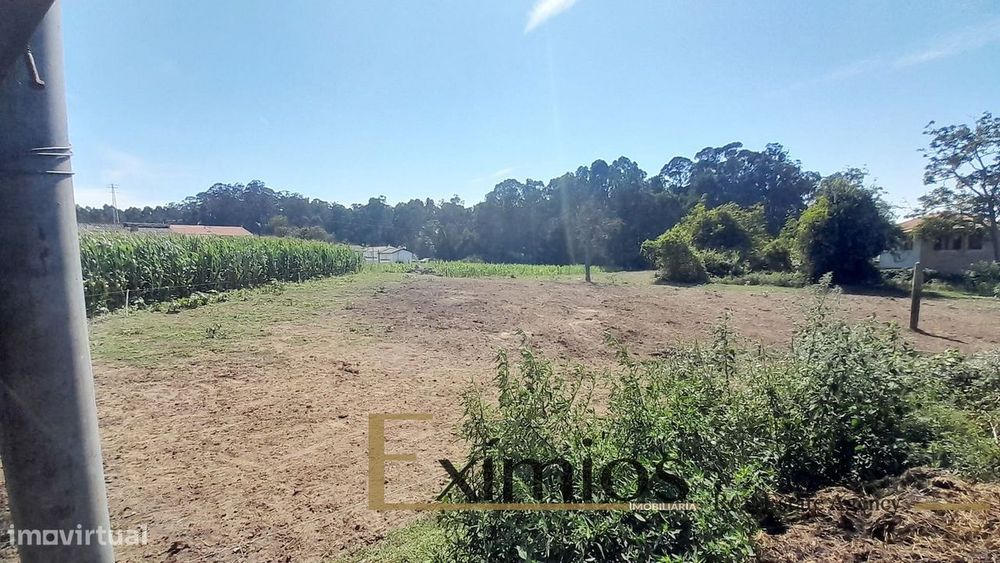 Quinta com 19.600m², situada na Maia