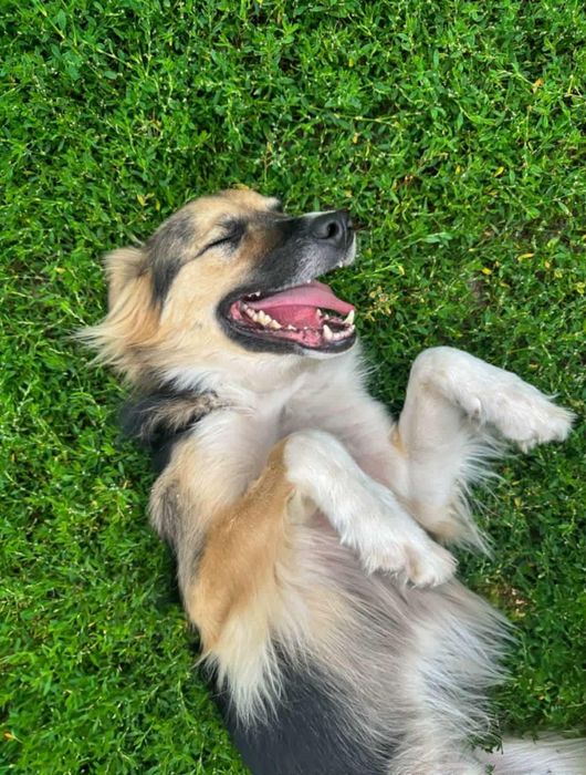 Słodki Mati szuka swojego przyjaciela