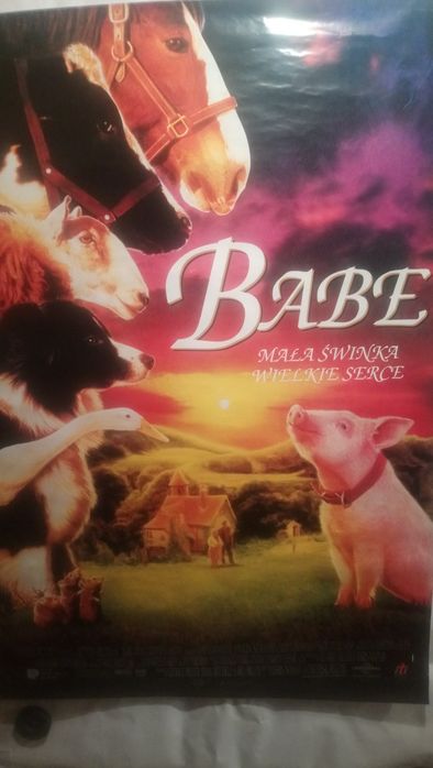 Plakat filmowy orginalny kinowy( BABE )