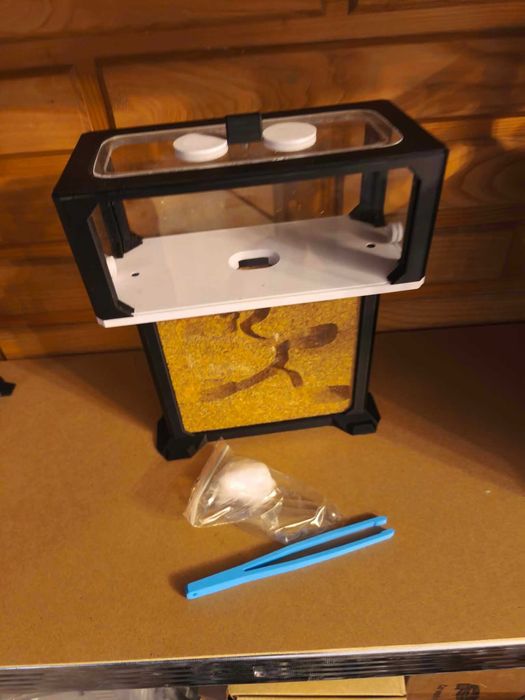Formikarium typu T z areną Model 3.1