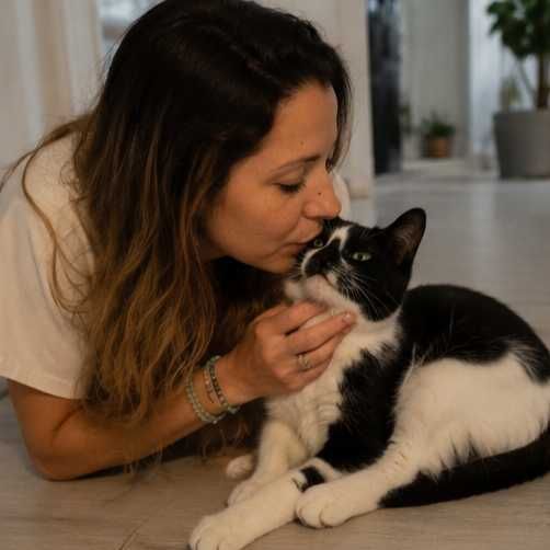 Pet sitting (cães e gatos)