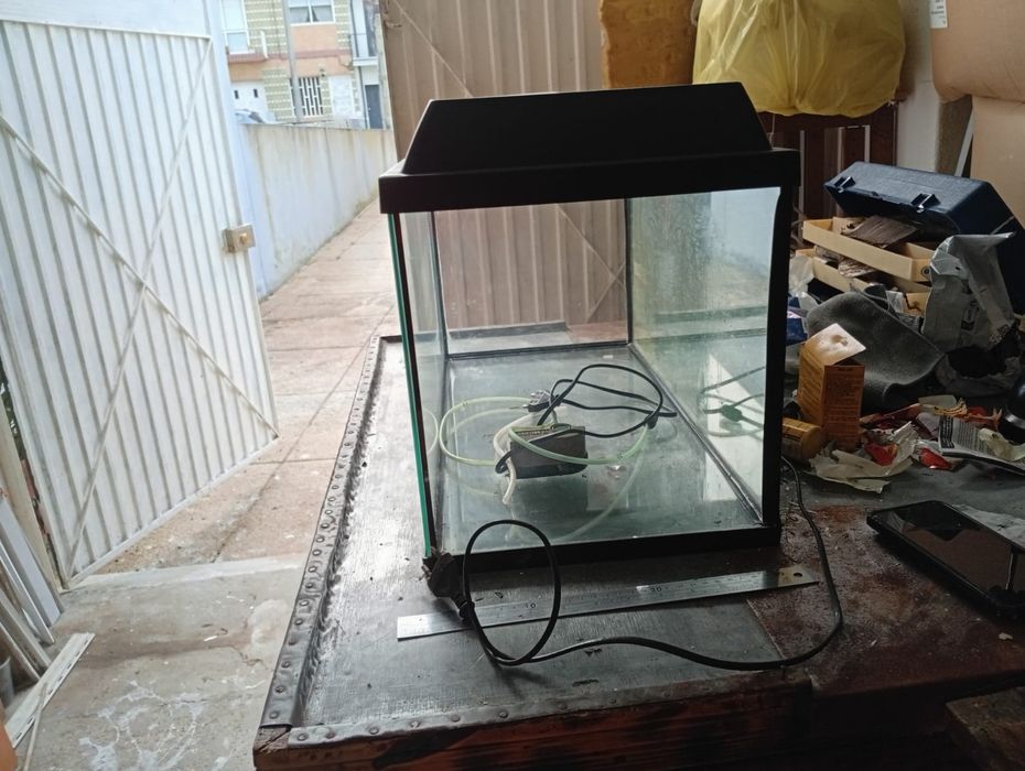 Vendo 3 aquários com acessórios