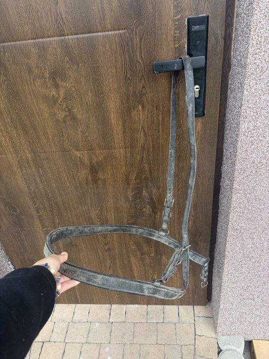 puszorek dla kuca i ogłowie z wędzidłem