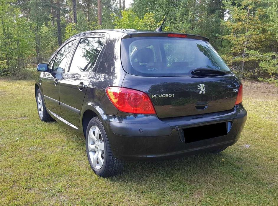 Peugeot 307, 2006, 100000km