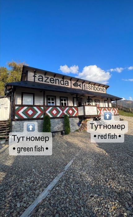 Довгострокова Оренда номер, будиночокВідпочинок у Карпатах, форель