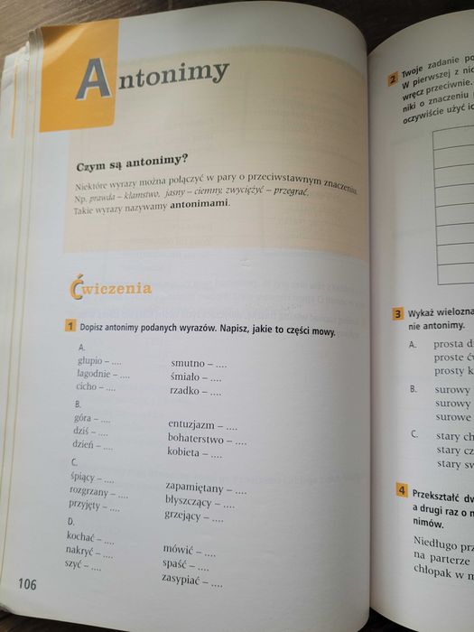 Podręcznik do j. Polskiego Gramatyka i stylistyka