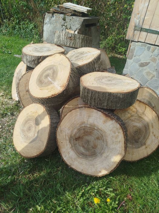 Plastry na stolik  topoli 50/60cm