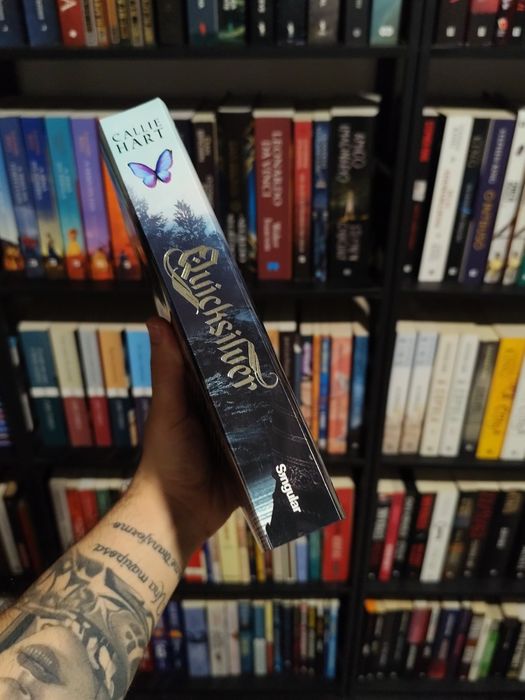 Livro Quicksilver