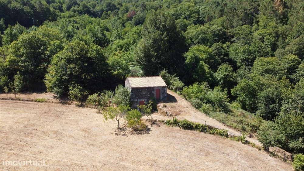 Quinta  Venda em Valezim,Seia