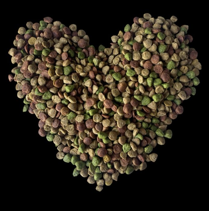 Корм для котів та собак, власного виробництва в Кривому Розі