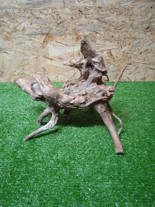 Korzeń do akwarium Red Moore Wood nr 410 o wymiarach 25/20/21