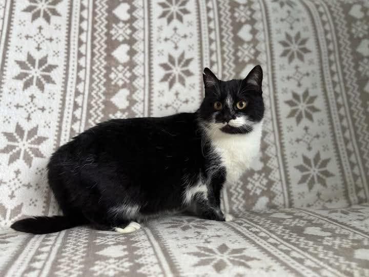 Traci dom tymczasowy PILNE