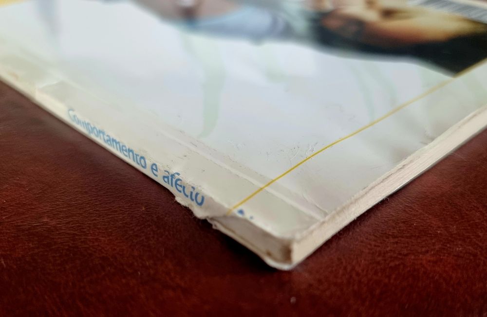 Vendo pack de 2 livros sobre gatos