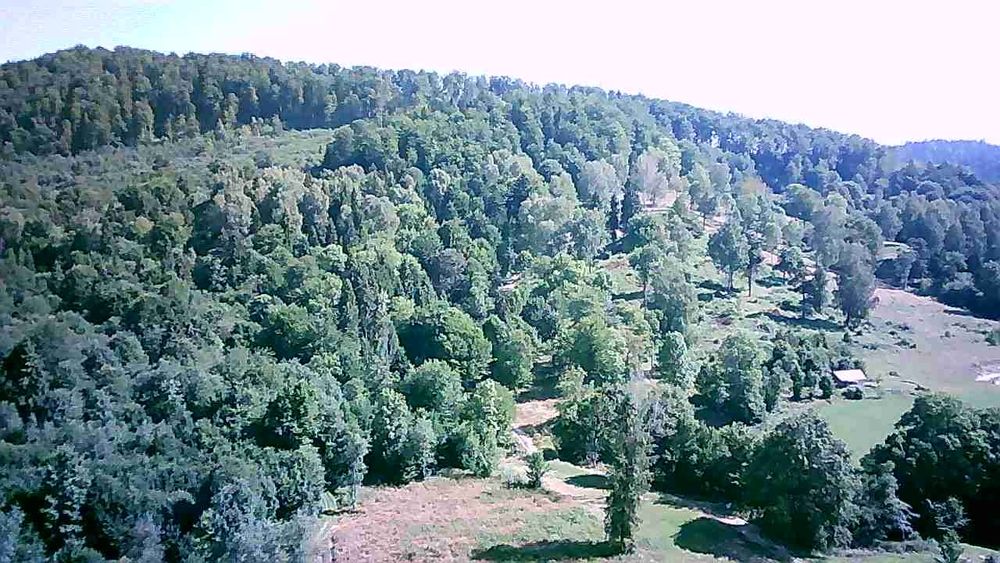 Działka w Bieszczadach  1,30 ha, w tym ponad hektar zadrzewiony