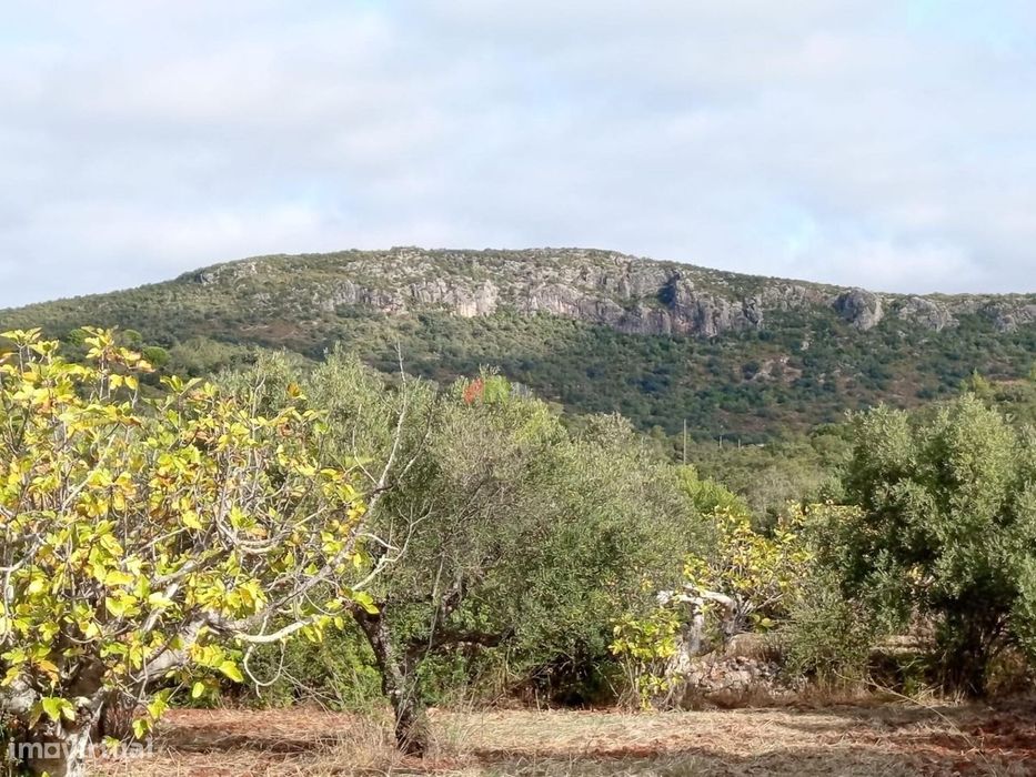 Terreno rústico em Loulé com 23884 m2 e belas vistas