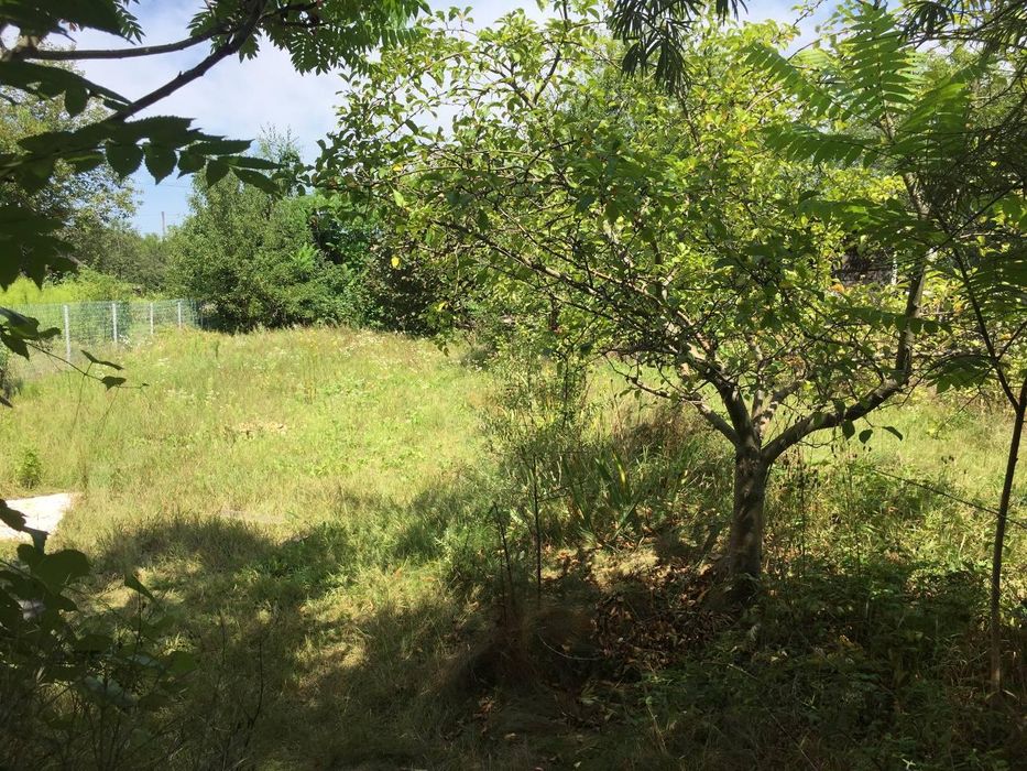 Продам діляку з будинком у Чернієві