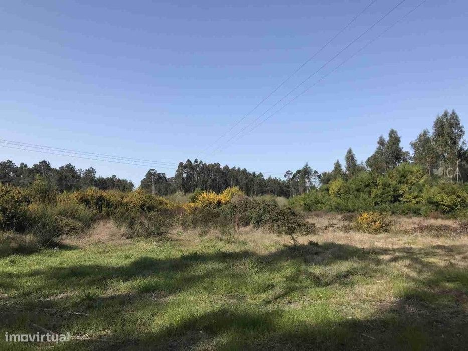 Venda de terreno rústico com área total de 705m²