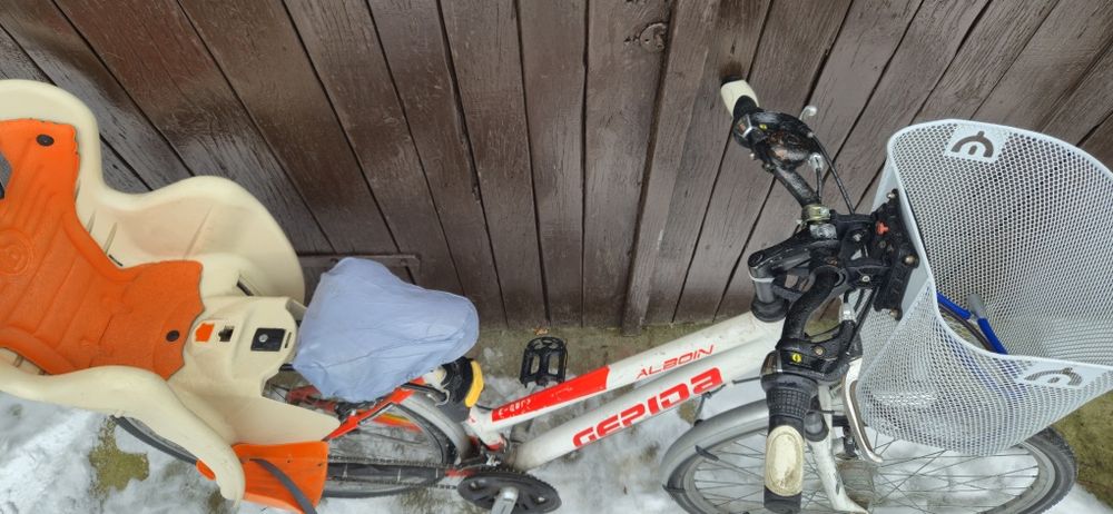 Rower Trekkingowy Gepida