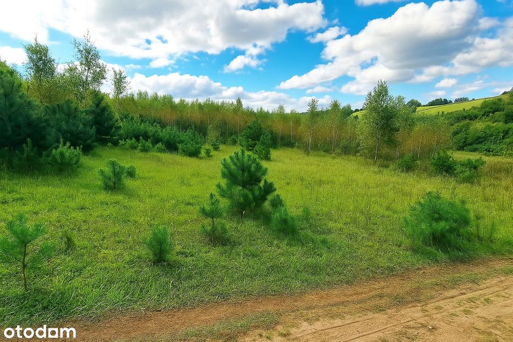 Działki nad jeziorem w malowniczym Garczu na Kaszubach