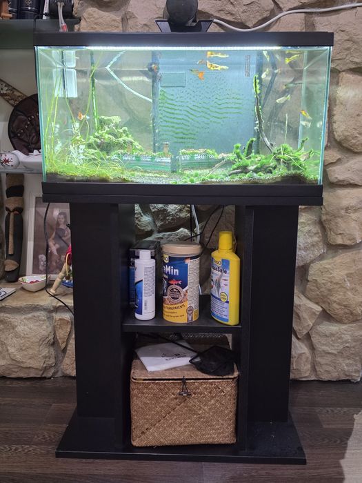 Aquario Ciano 60 litros