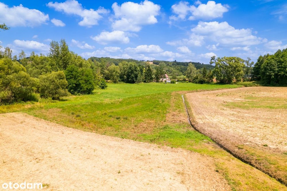 Burzyn, gm. Tuchów działka 57 ar – budowlana