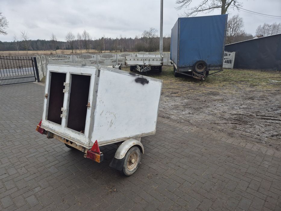 Przyczepka samochodowa do przewozu 2 psów