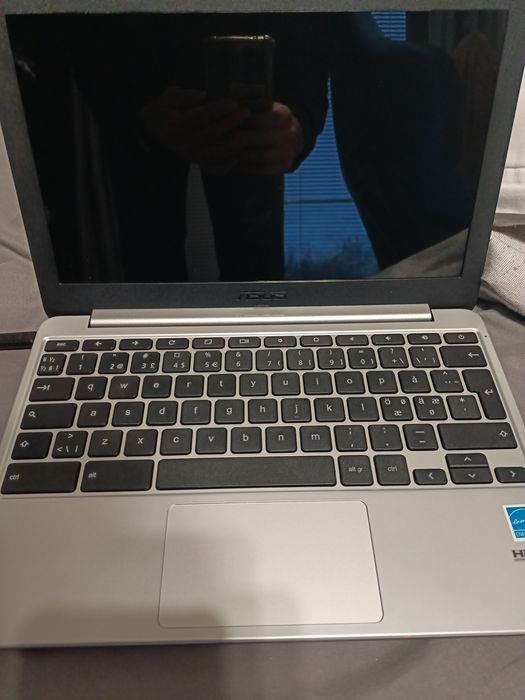 Asus chromebook C201P