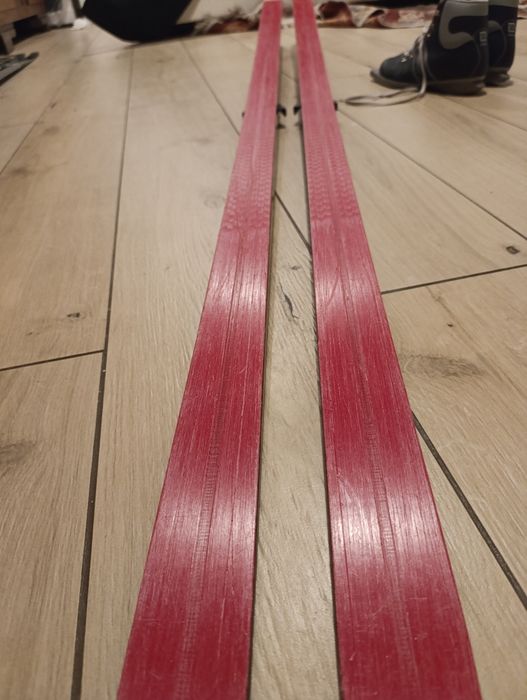 Biegówki Rossignol 195 cm