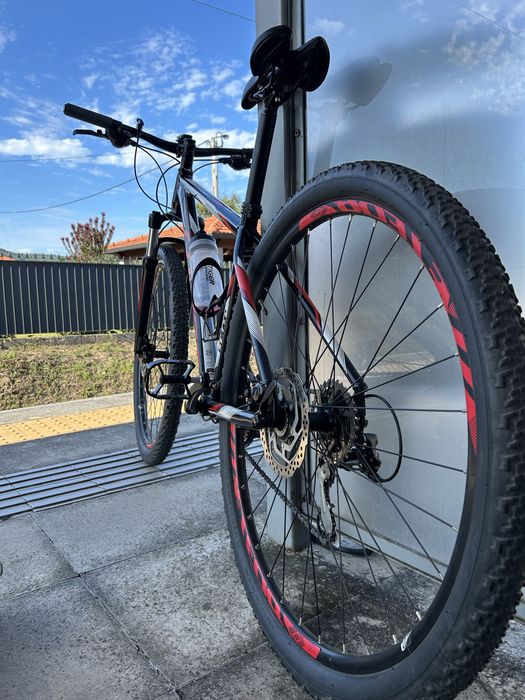 Coluer Pragma 29er
