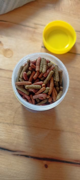 Pokarm dla żółwi Bio rept